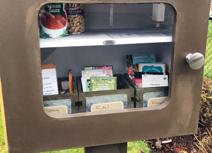 Little Free Seed Library